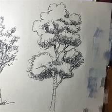 画树的图片简笔画