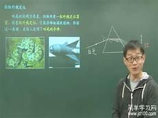 请与这样的我恋爱吧达达兔