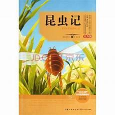 金龟子图片大全大图